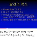 비타민박사 Daum카페