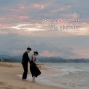 애드워드 - 강남구 테헤란로 410 | 강원도 야외 웨딩 스냅 촬영 후기 [스냅 애드워드] 올데이 결과물!