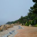 주전월남정화장실 이미지