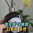 플로랑 대용량 고급스러운 디퓨저