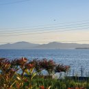 무지개카라반 이미지