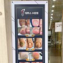 바덴뷰티 레푸스 이미지