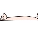 용인대 SM복싱 14관 이미지