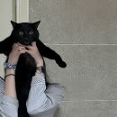 난다케이크 이미지
