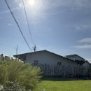 토르스테이 이미지