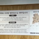 [체험] 광교| 시원한 멸치육수베이스 칼국수 맛집 달인대보칼국수