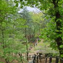 구룡천2 이미지