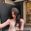 르플레인