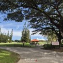 가야금속 | 코타키나발루에서의 자유 일정 반나절 — 가야스트리트 Guan's Kopitiam, 기념품샵 후기 | 2026 말레이시아