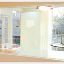 착한애견미용 이미지