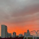 진미만두 이미지