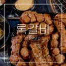 회기역맛집 록갈비ㅣ현 시점 살코기 가장 많은 쪽갈비 원탑 경희대술집 모임후기 -