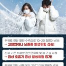 라이즈원 이미지