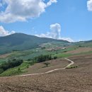 2025.9.27(토) 국토횡단 도보여행(새비재~석항) 11.3km 이미지