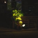 스마트디자인