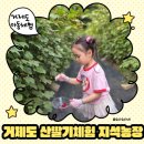 지석농장 이미지
