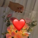 캘리그라피 초급 | 2025년 12월, 올 한 해도 너무너무 애썼다 효키🥹