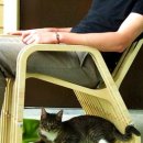 고양이집사 이미지