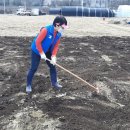 강철농장 이미지