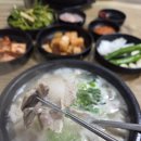 마천돼지국밥 - 사천시 | 마천돼지국밥