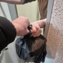 눈보라식당 이미지