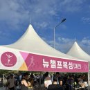 뉴챔프복싱 이미지