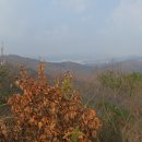 백운통신 이미지