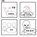 시뉴시스템
