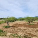 부산은행 을숙도 이미지