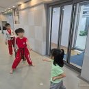 태양태권도 이미지