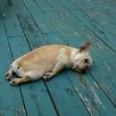 쏭쏭이야기 이미지