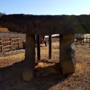 연천통현리지석묘 이미지