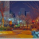 월드조명