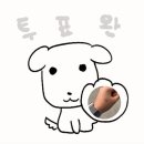 애즈유라이크(As you like) | Don&#39;t you dream impossible things?