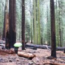 유명한캠핑장 이미지