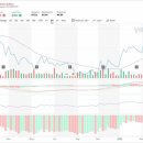 앞서가는 21세기 약국 이미지