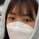 8月 2週