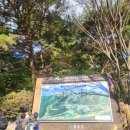산산산 | [대둔산 나혼자산다 키 능이버섯전골] 산산산