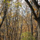 덕성산,칠보산,성태산,너구리산 그리고 수리산무성봉과 감투봉 싱글 후기(2012.11.15)
