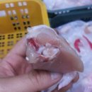 싱싱닭고기