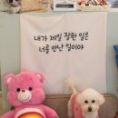 바르개맛있개 네이버블로그