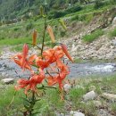 단양별빛한옥민박 이미지