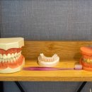 미소본치과의원 이미지