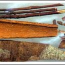 약재 - 한약재의 종류와 효능 이미지