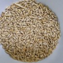 옛날보리집 이미지