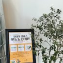 엘에스프레소