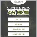 왜관동물병원 이미지