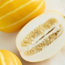 달욱농장 이미지