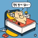 플레이트그린 이미지