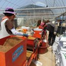 김윤희농장 이미지